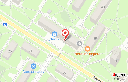 Оникс в Пушкине на карте