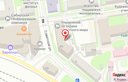 Департамент по охране животного мира Новосибирской области на Советской улице на карте