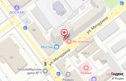 Туристическое агентство 1001 тур на улице Мичурина на карте