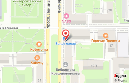 Цветочный салон Белая лилия на проспекте Ленина на карте