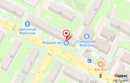 Магазин актуальных подарков и посуды на карте