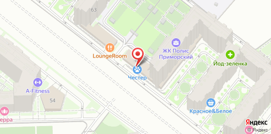 Ветеринарная клиника Честер на проспекте Авиаконструкторов на карте