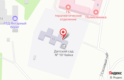 Детский сад №10, г. Светлый на карте