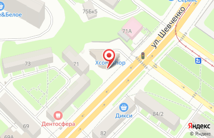 Супермаркет Пятерочка на улице Шевченко на карте