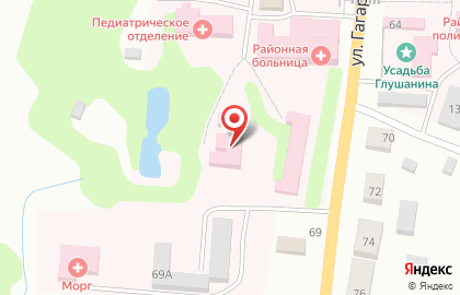 Опочецкая межрайонная больница на улице Гагарина на карте