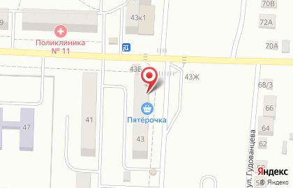 Супермаркет Пятёрочка на улице Гудованцева на карте