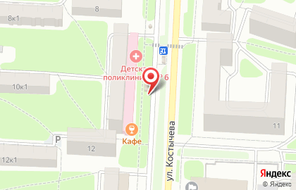 Ледяной домик на улице Костычева на карте