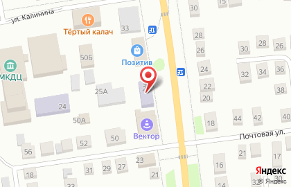 Центральная межпоселенческая библиотека в Калачинске на карте