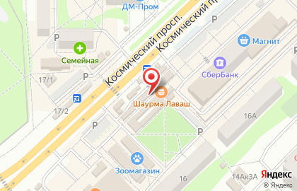Линия Жизни на Космическом проспекте на карте