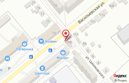 Магазин Родное село на Васильевской улице на карте