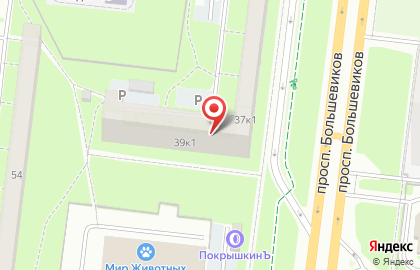 Стационарная и выездная шиномонтажная служба Shinokoff на проспекте Большевиков на карте