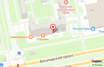 Центр Верона на Богатырском проспекте на карте