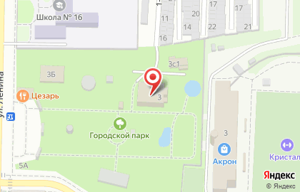 Золотой шар на улице Ленина на карте