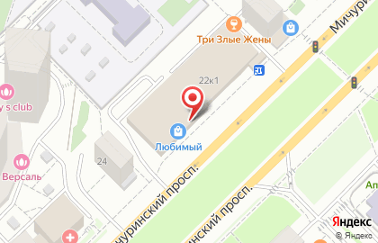 Бетховен на улице Мичуринский на карте