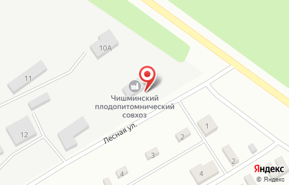 Сельскохозяйственное предприятие Чишминский плодовоовощной питомник на карте