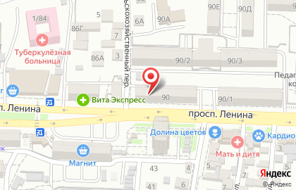 Компания по дезинфекции, дератизации, обработке от коронавируса Главдезцентр на проспекте Ленина на карте