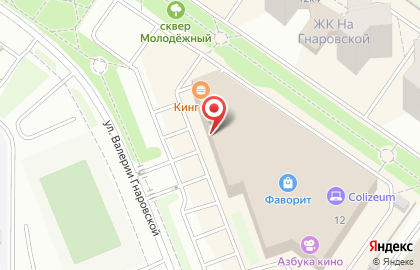 Сервисный центр Pedant.ru на улице Валерии Гнаровской на карте