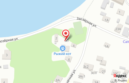 Гостиница для кошек Рыжий кот на карте