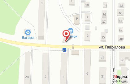 Магазин Правильная корзинка на улице Гаврилова в Котовске на карте