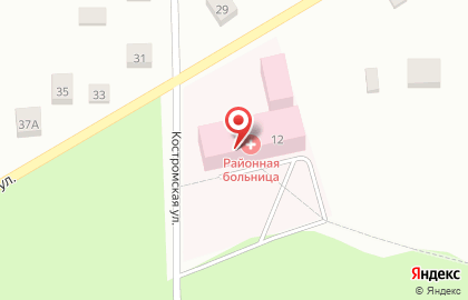 Поликлиника Вырицкая районная больница на карте