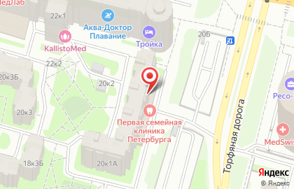 Стриж на Гаккелевской улице на карте