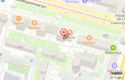 Snowimage на Революционной улице на карте