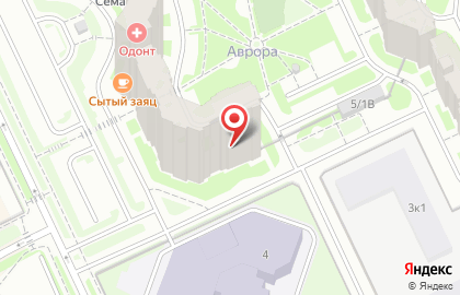 Детский клуб Любопышки-Курносики на проспекте Большевиков на карте