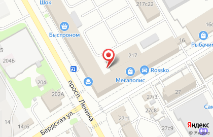 КотоПёс на проспекте Ленина на карте