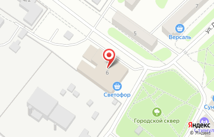 Супермаркет Светофор на улице Ленина на карте