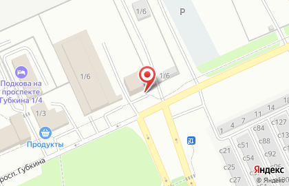 Дарт на проспекте Губкина на карте