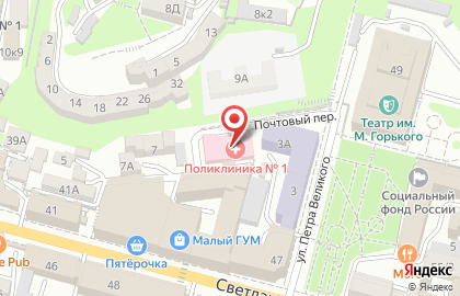 Владивостокская поликлиника №1 в Почтовом переулке на карте