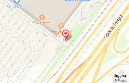 Steve Madden в Свиблово на карте