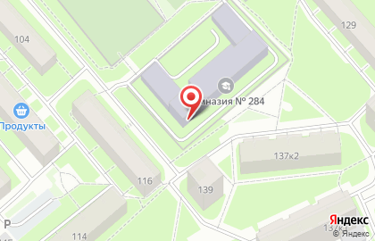 Гимназия # 284 на карте