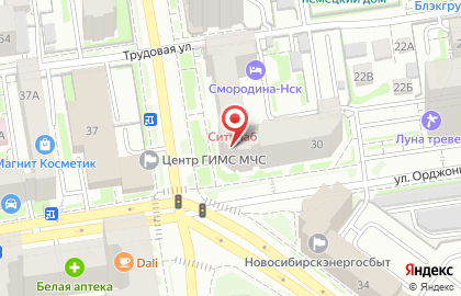 Сеть офисов продаж Пегас Туристик на улице Семьи Шамшиных на карте
