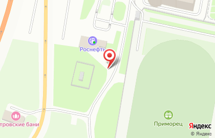 Сеть автомоечных комплексов, ИП Кроль С.Ю. на Приморском проспекте на карте