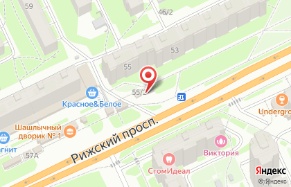ООО Псков-Печать на Рижском проспекте на карте