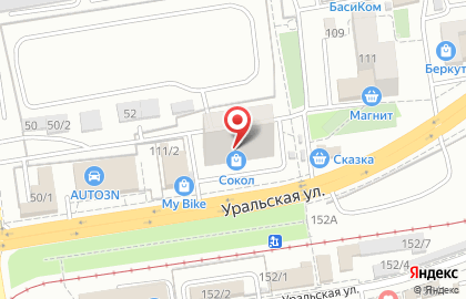 Ветеринарная аптека на Уральской-Animal City на карте