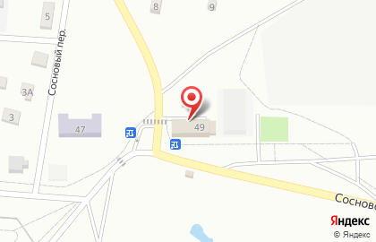 Магазин хозтоваров на Сосновской улице на карте