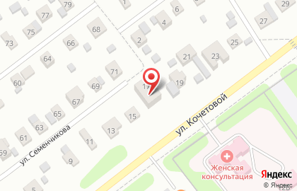 Компания Есения на улице Кочетовой на карте