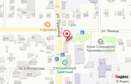 Продуктовый магазин Манго на улице Пушкина на карте