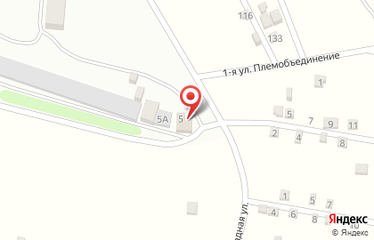 Продуктовый магазин на Молодёжной улице на карте