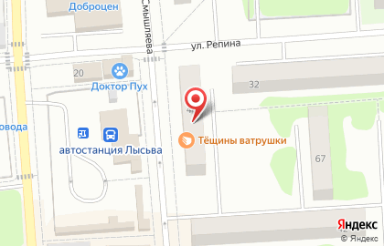 Аптека от Склада на улице Смышляева в Лысьве на карте