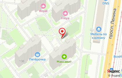 Декоративные культуры на проспекте Ленина на карте