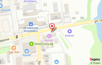 Зоомаркет на Кузнечной улице на карте