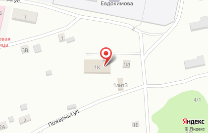 Аптека Алтайвитамины на Пожарной улице на карте