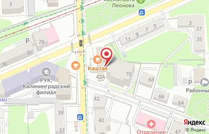 Панда в Центральном районе на карте