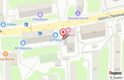 Чистый пух на проспекте Ленина на карте