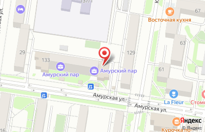 Магазин зоотоваров Зооландия на Амурской улице на карте