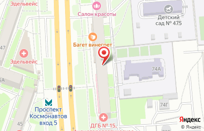 Транспортно-экспедиторская компания Деловые Линии на проспекте Космонавтов на карте