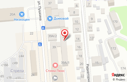 Пчеловодческая компания Тенториум на улице Пушкина на карте